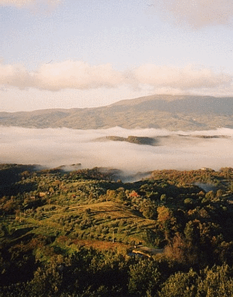 Val di Chiana under vinter dimma