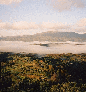 Val di Chiana sotto la nebbia