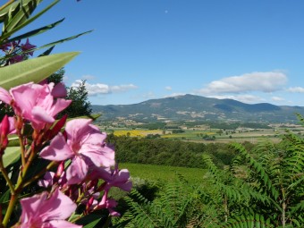 valley