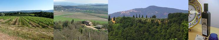 agricoltura