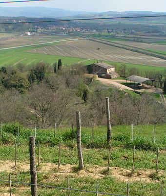 Campi di fondovalle vista da Poggio Cavaliere