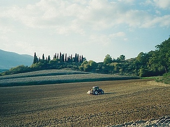 Travail sur le champs de San Bartolomeo