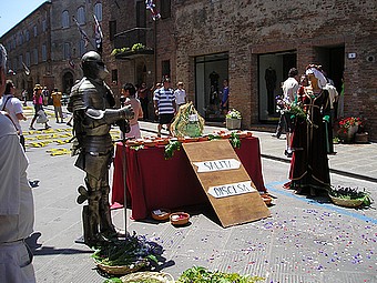 Infiorata di San Luigi Gonzaga: Terziere Casalino