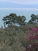 view of the Lake Trasimen