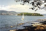 Lago Trasimeno from Island