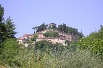 Cetona