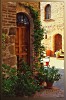 an alley in hot summer day