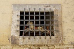 a detail of wall